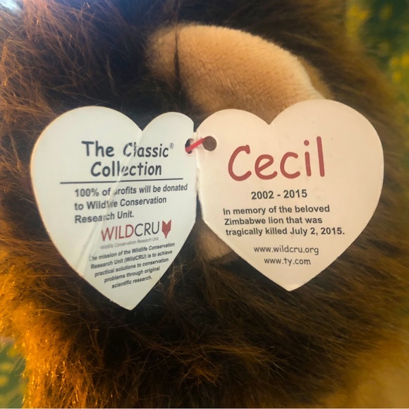 Ty Classics Collection “Cecil” the Zimbabwe Lion - Picture 6 of 6